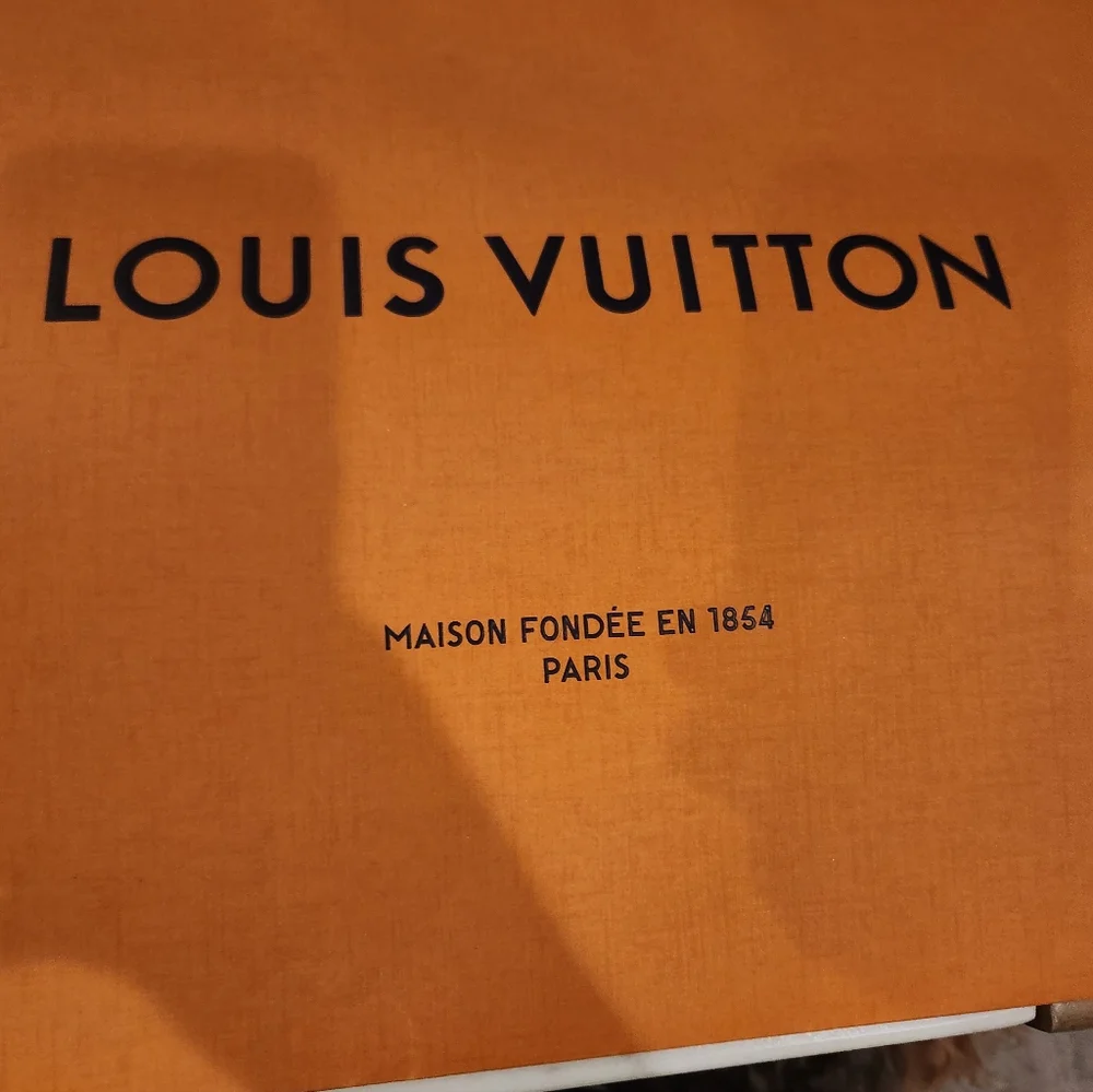 Louis Vuitton Orange Branded Bag